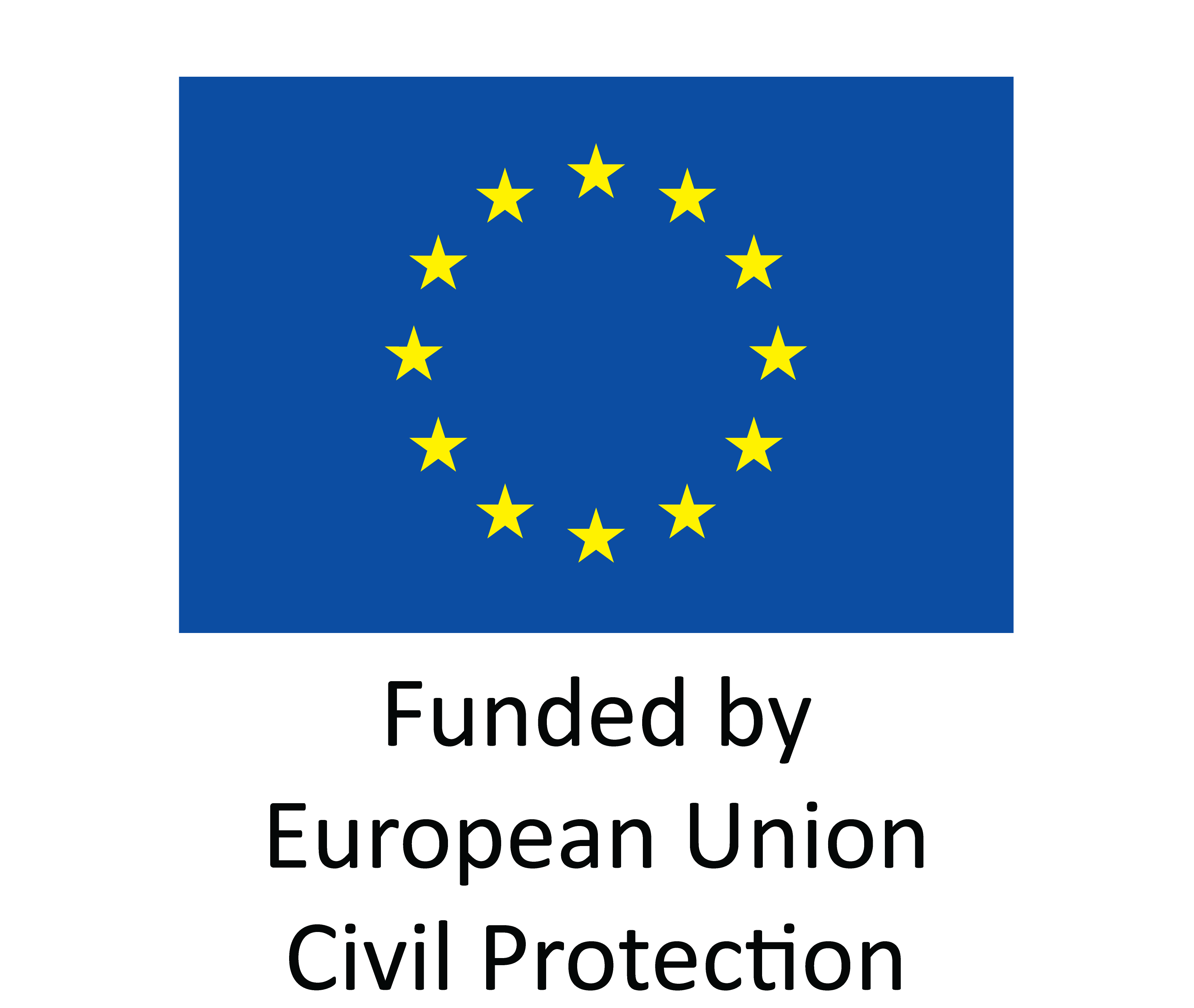 European Union Logo